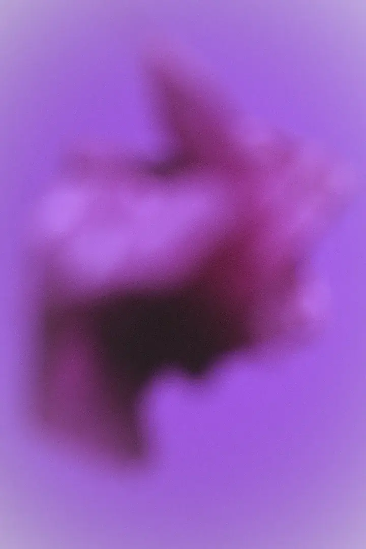 Lintex image 4