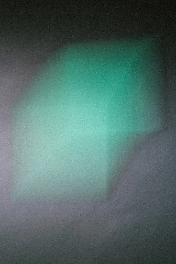 Lintex image 6